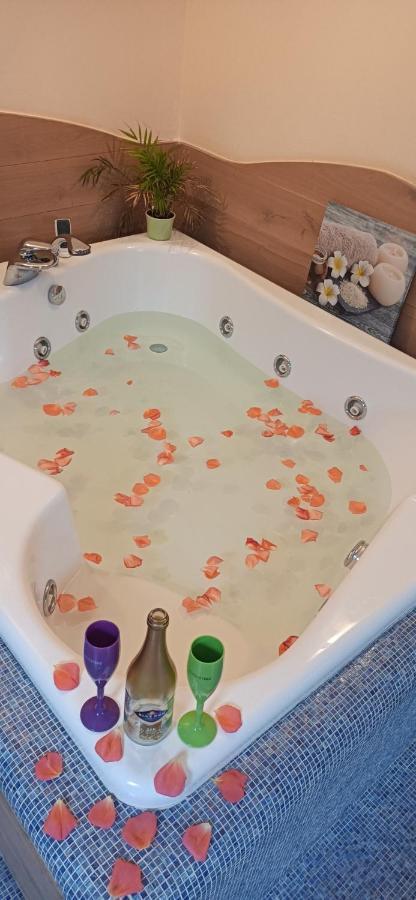Central Terrace Escape With Jacuzzi Timisoara Ngoại thất bức ảnh