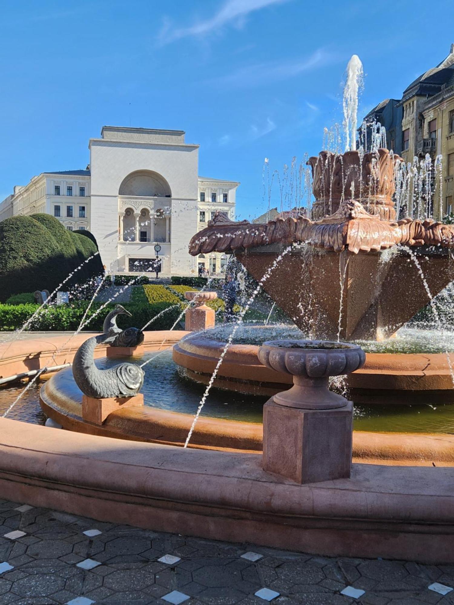 Central Terrace Escape With Jacuzzi Timisoara Ngoại thất bức ảnh