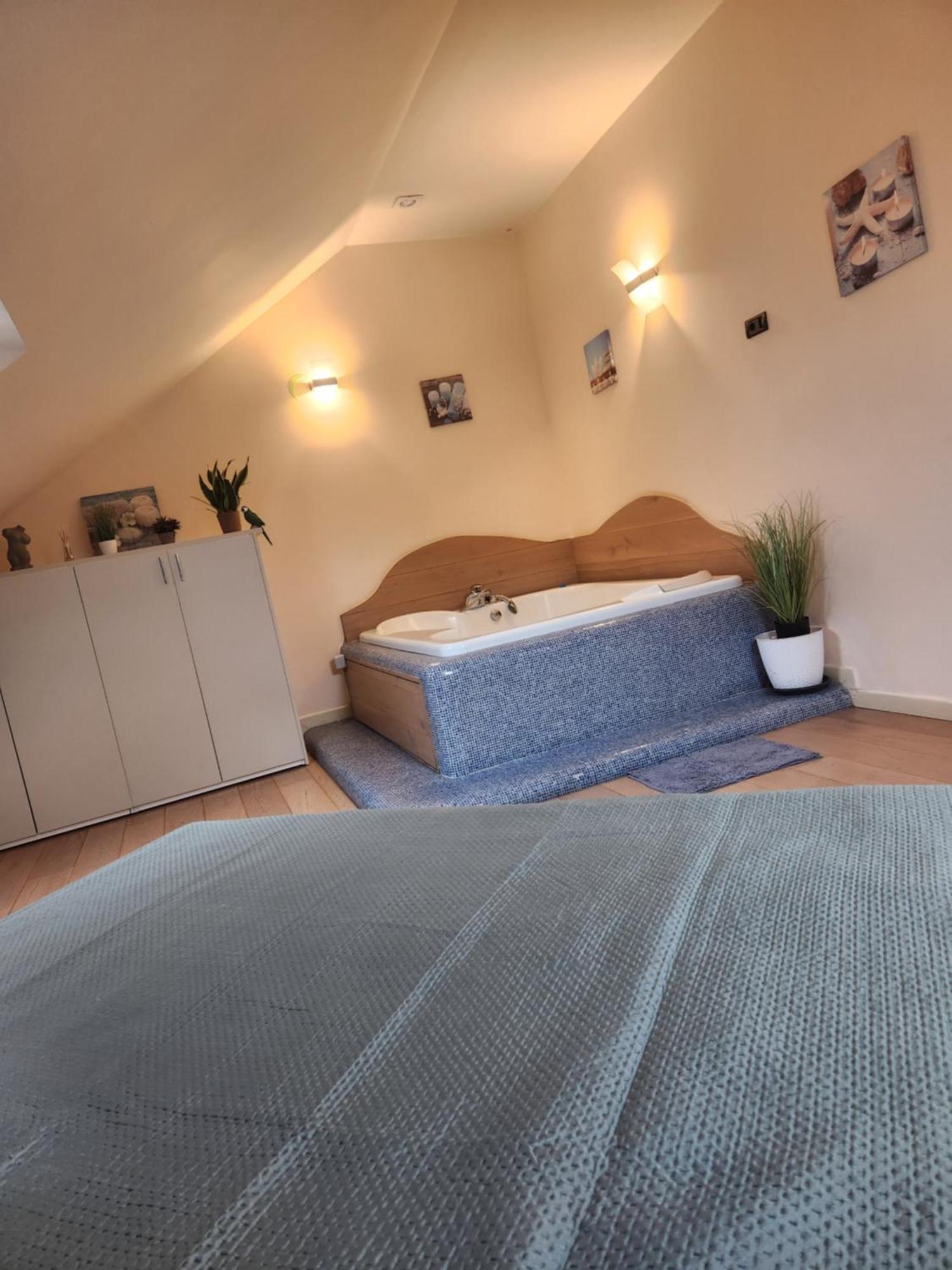 Central Terrace Escape With Jacuzzi Timisoara Ngoại thất bức ảnh