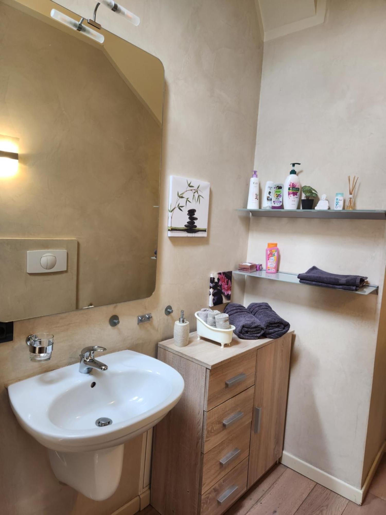 Central Terrace Escape With Jacuzzi Timisoara Ngoại thất bức ảnh