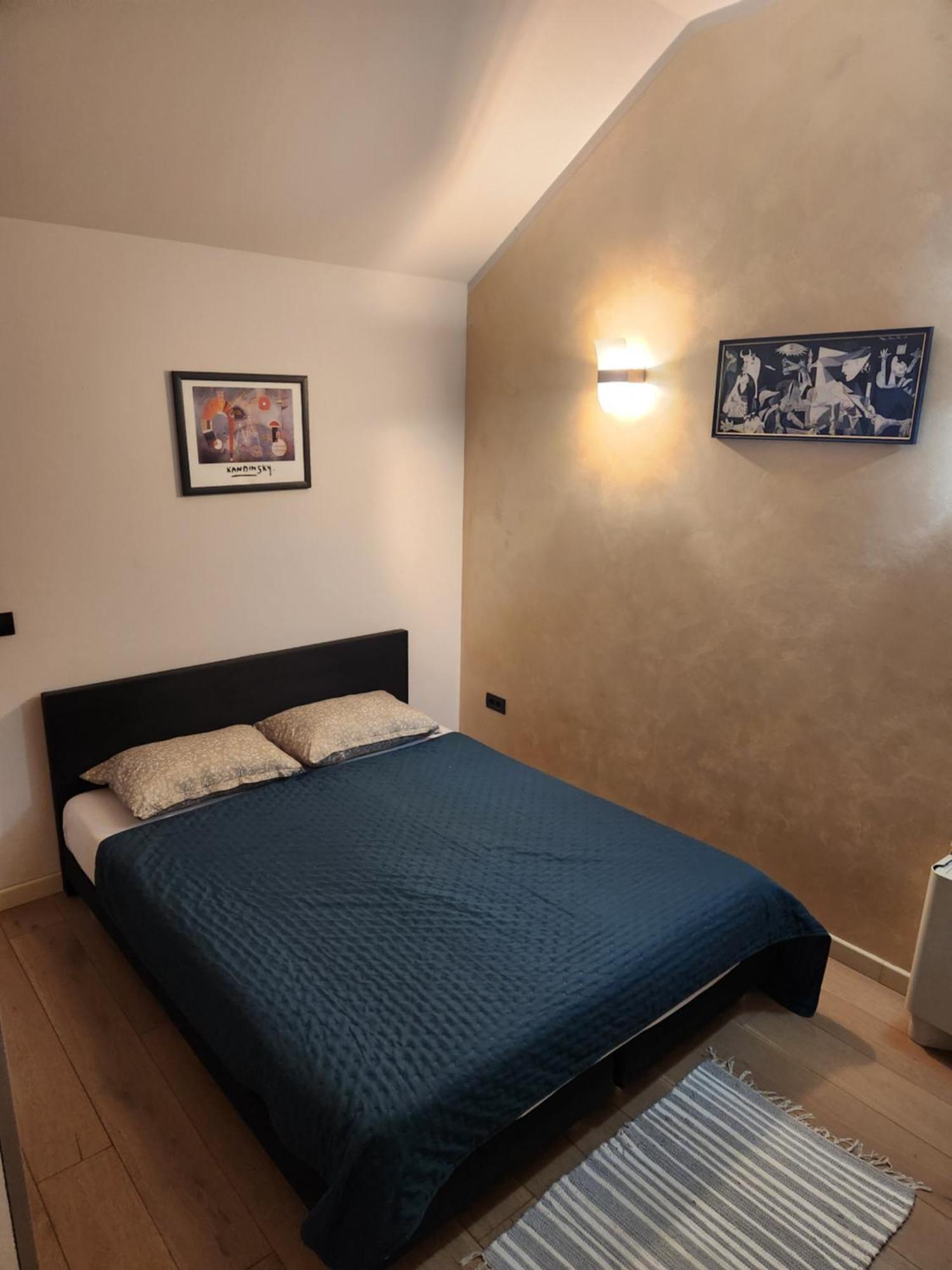 Central Terrace Escape With Jacuzzi Timisoara Ngoại thất bức ảnh